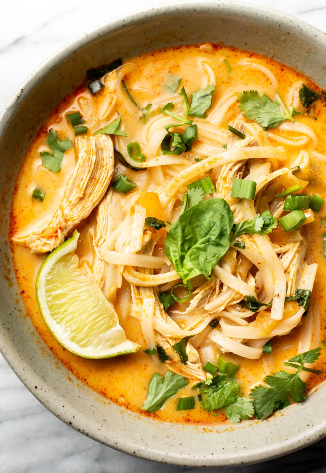 17 Cozy Fall Chicken Soup Recipes to Warm You Up Image