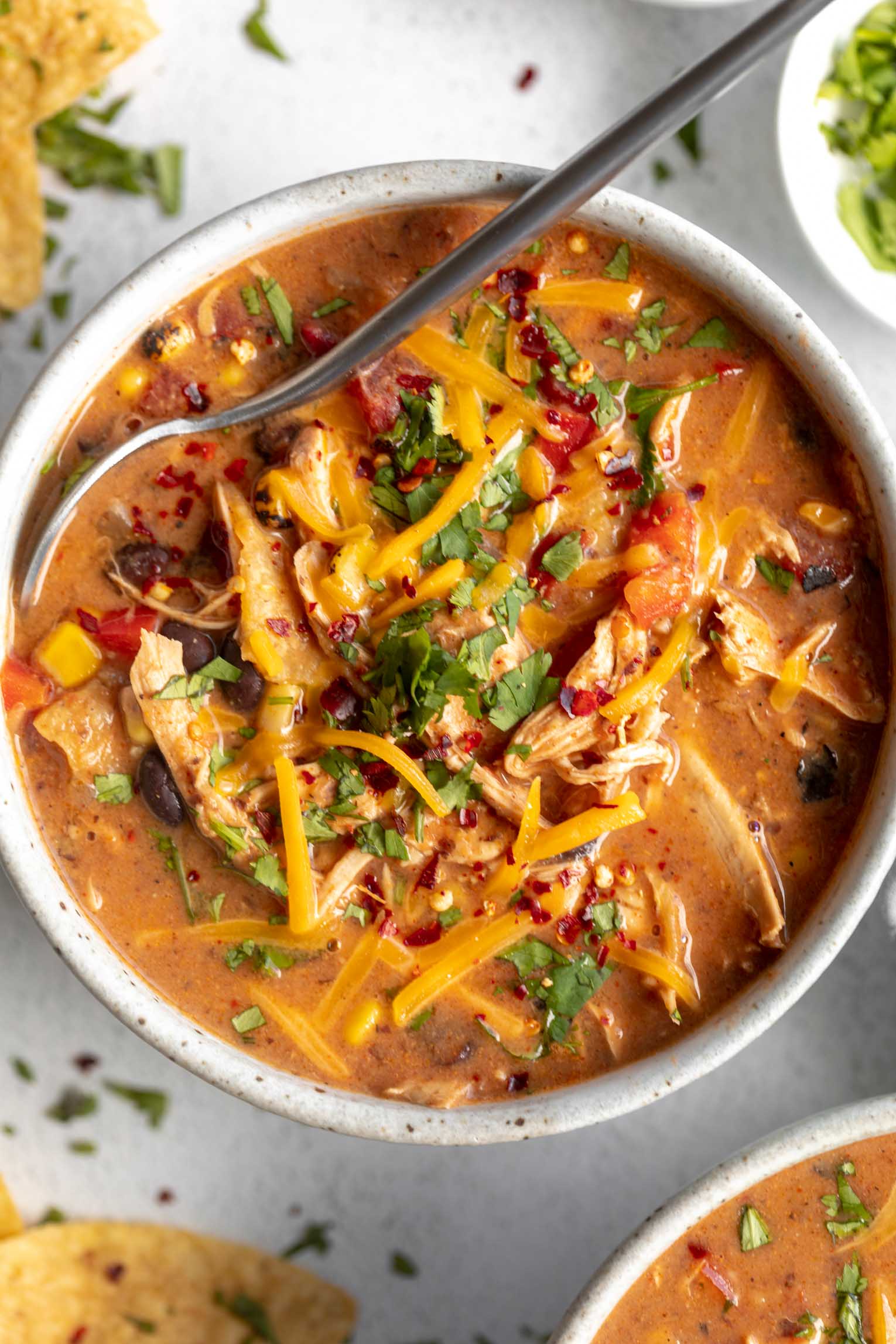 17 Cozy Fall Chicken Soup Recipes to Warm You Up Image