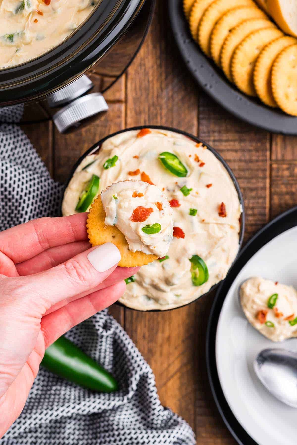 21 Slow Cooker Appetizers Image