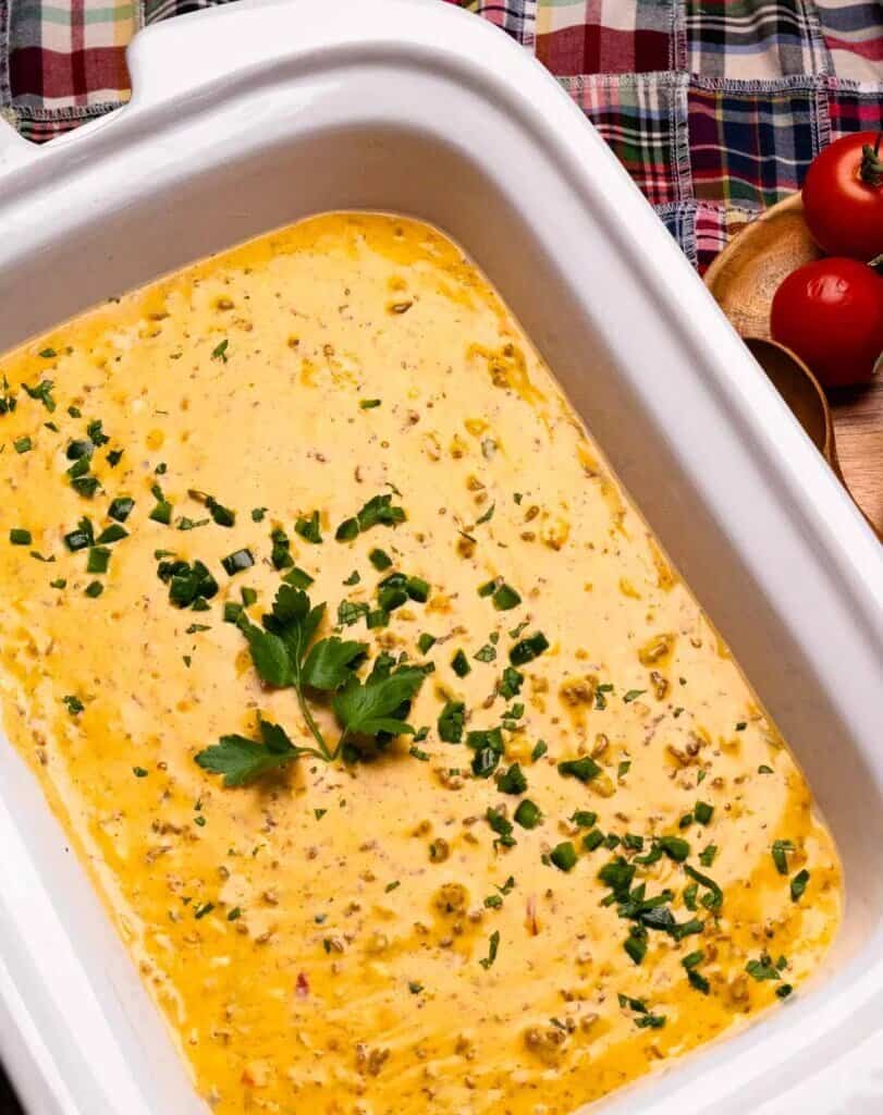 21 Slow Cooker Appetizers Image