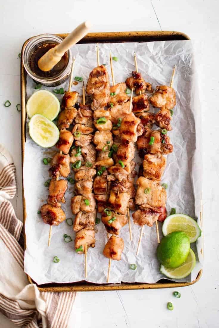 20 Chicken Kebab Recipes Image