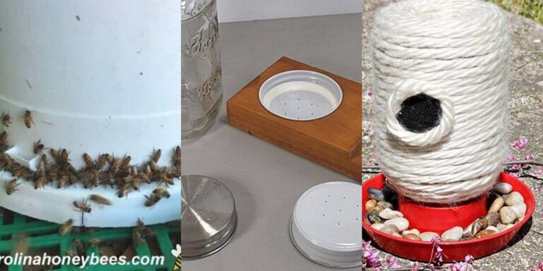 4 Bee Feeder Ideas