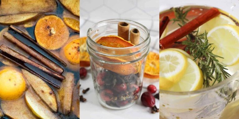 29 Cinnamon and Spice Simmering Potpourri Recipes