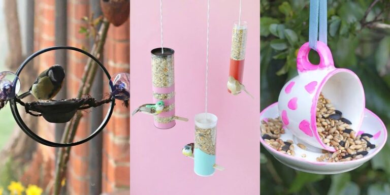 24 DIY Bird Feeder Ideas