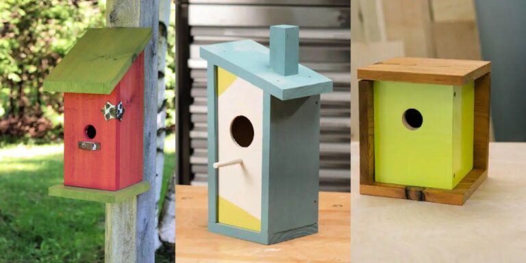 24 DIY Birdhouse Ideas