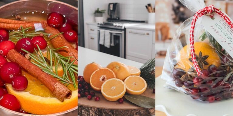 34 DIY Christmas Stovetop Potpourri Recipes