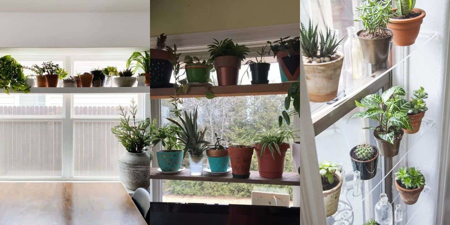 7 DIY Window Plant Shelf Ideas