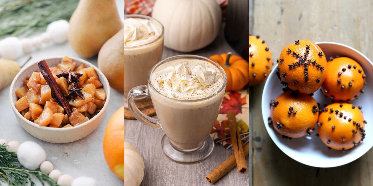 16 Easy Fall Simmer Pot Recipes to Fill Your Home with Seasonal Scents