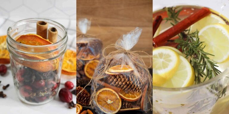 34 Orange and Cinnamon Potpourri Recipes