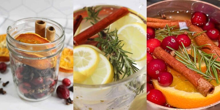 35 Rosemary Simmer Pot Recipes